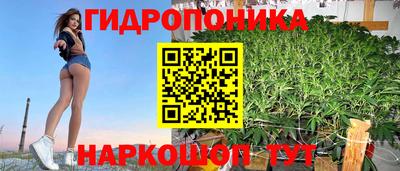 тгк Лесосибирск