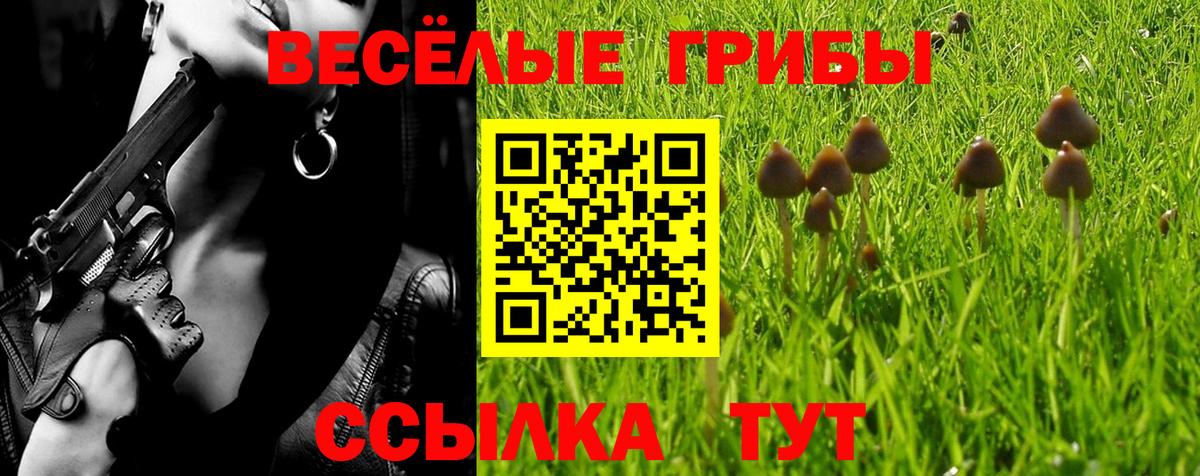 Псилоцибиновые грибы мицелий  Галлюциногенные грибы GOLDEN TEACHER  Вход с VPN  Сальск 