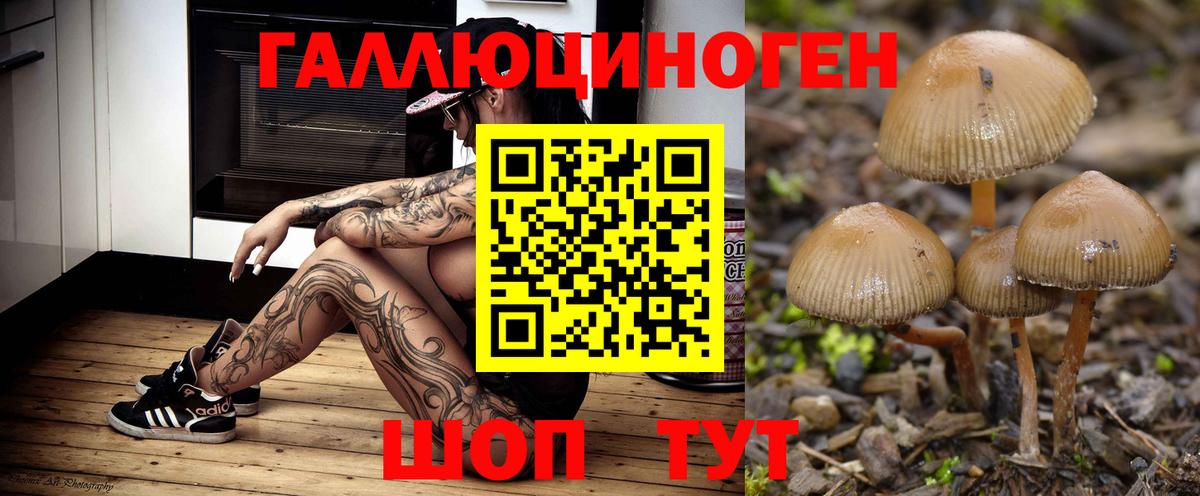 Псилоцибиновые грибы мухоморы Сальск